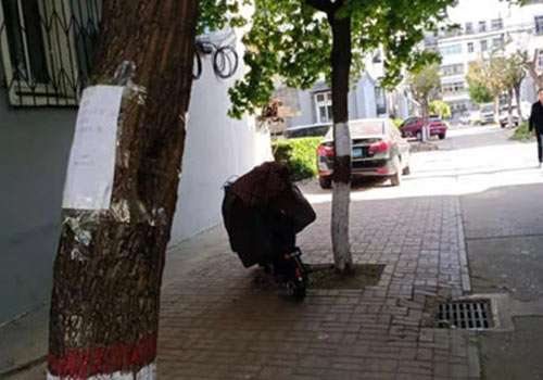 路南老舊小區(qū)文北社區(qū)修剪大樹(shù)照片